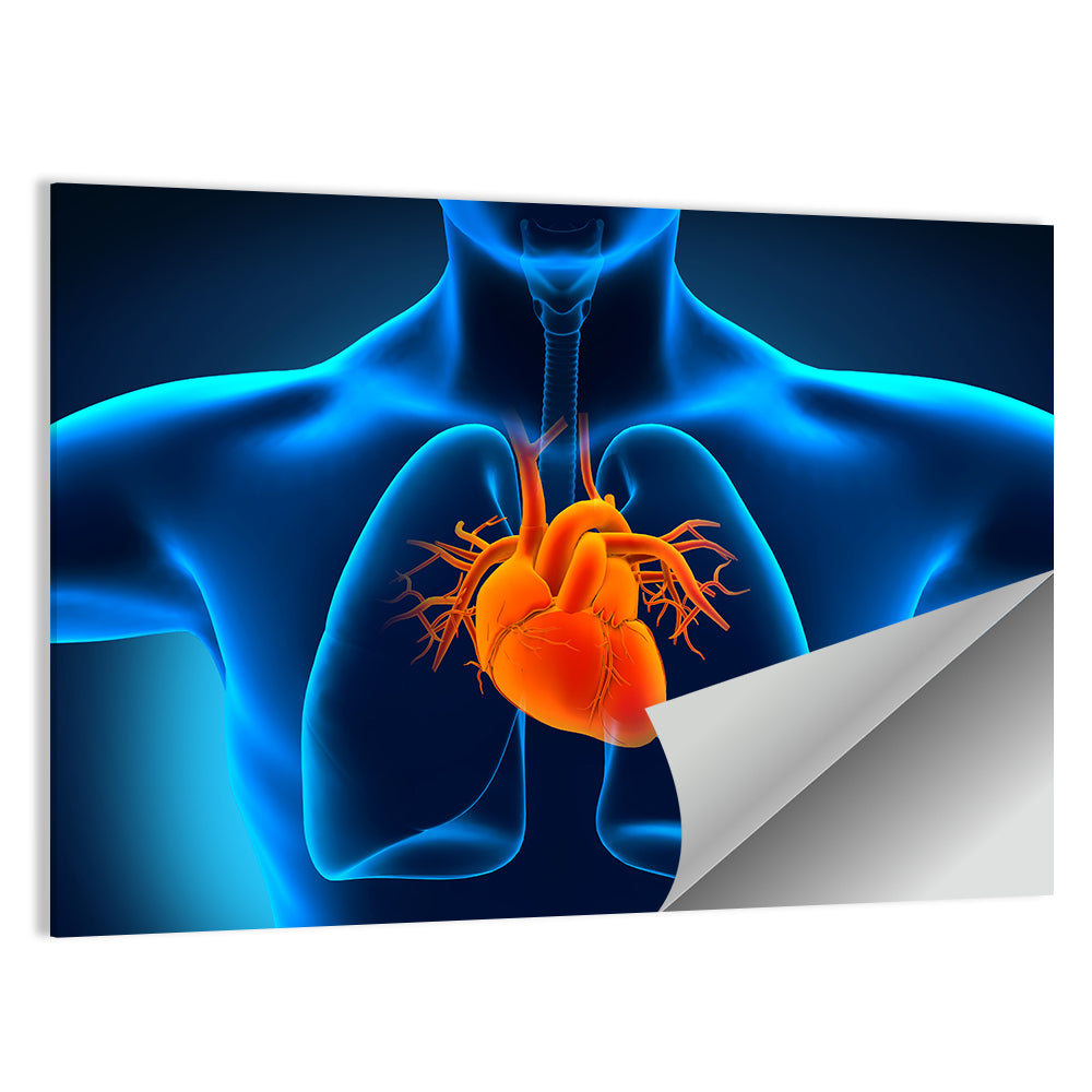 Glowing Heart Anatomy Illustration Wall Art