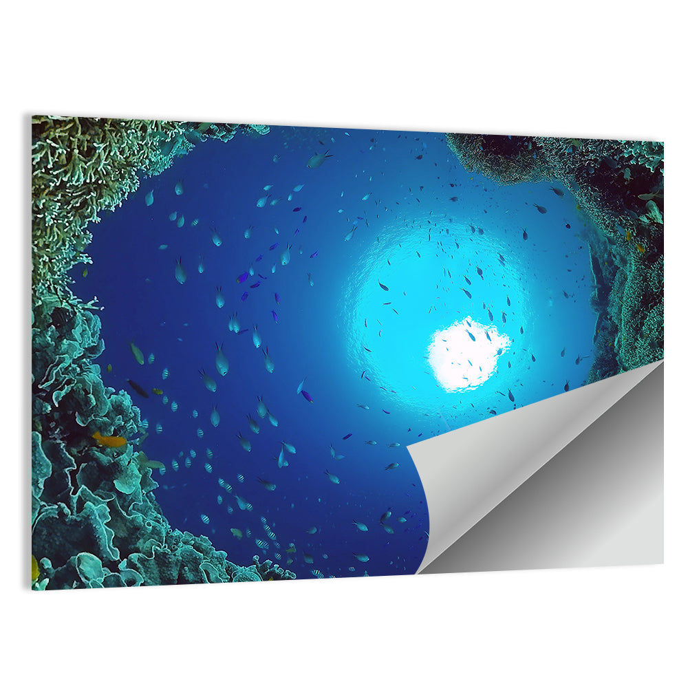 Sunlit Coral Reef with Tropical Fish Wall Art