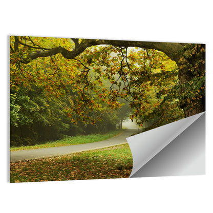 Foggy Autumn Forest Path Wall Art