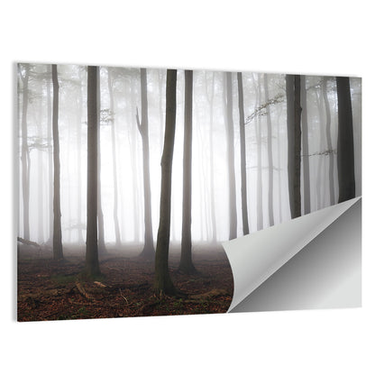 Misty Forest Perspective Wall Art