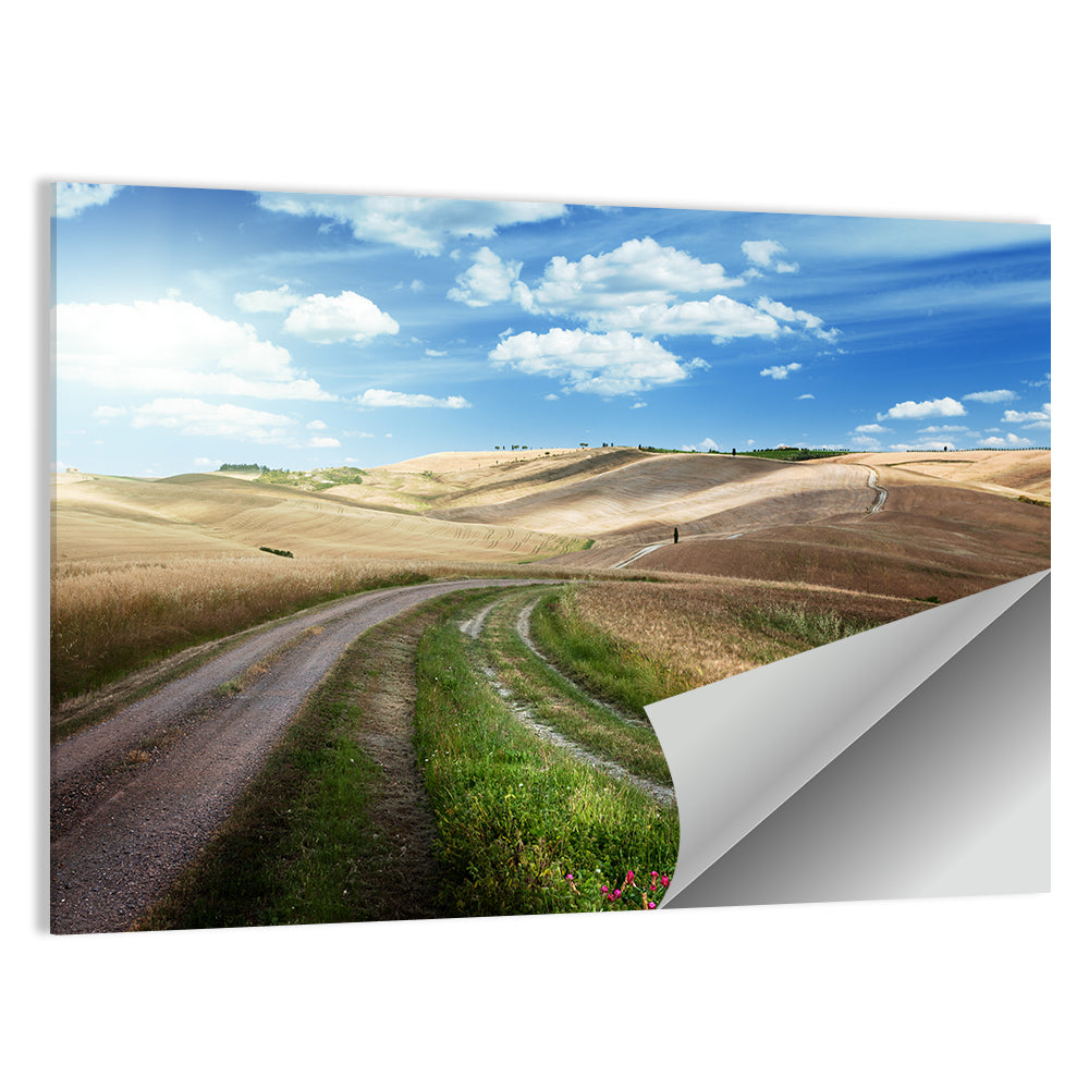 Dirt Road Through Tuscany Wall Art