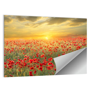 Poppy Field On Sunset Wall Art