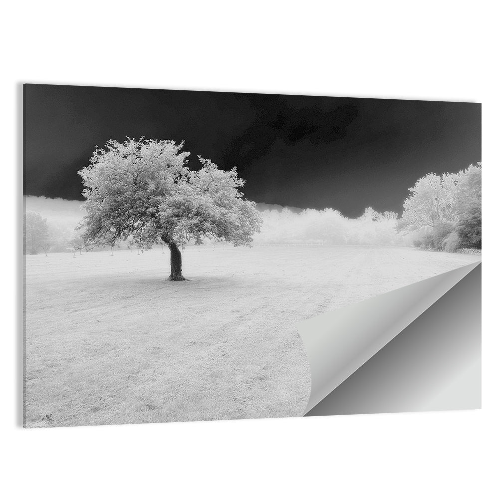 Lonely Tree In Surreal Winter Field Wall Art