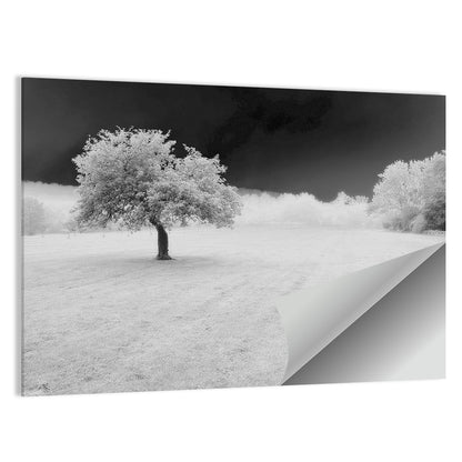 Lonely Tree In Surreal Winter Field Wall Art