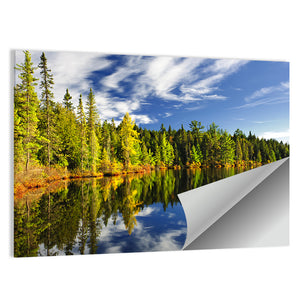 Lake Shore At Algonquin Park Wall Art