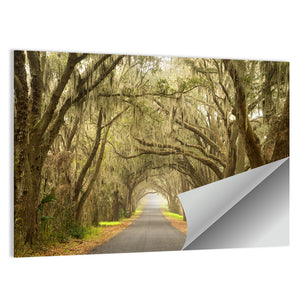 Spanish Moss Countryside Road Wall Art