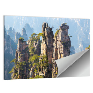 Zhangjiajie National Forest Park Wall Art