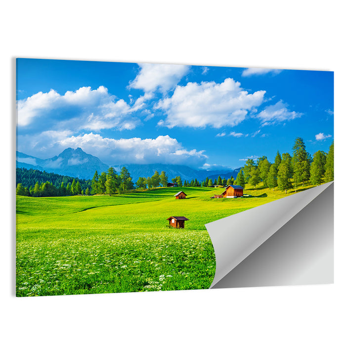 Alpine Valley Meadow, Austria Wall Art as a poster print