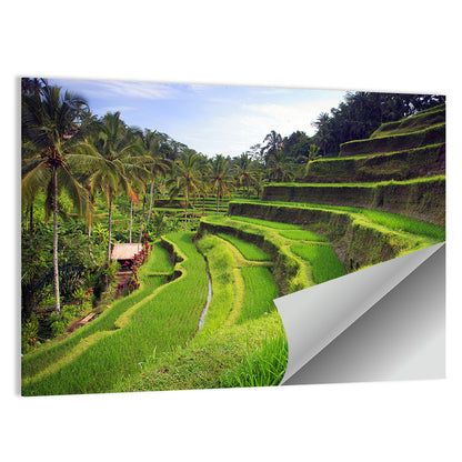 Tegallalang Rice Terraces Wall Art