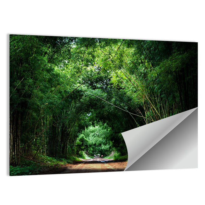 Bamboo Road in Kyoto Wall Art as a poster print