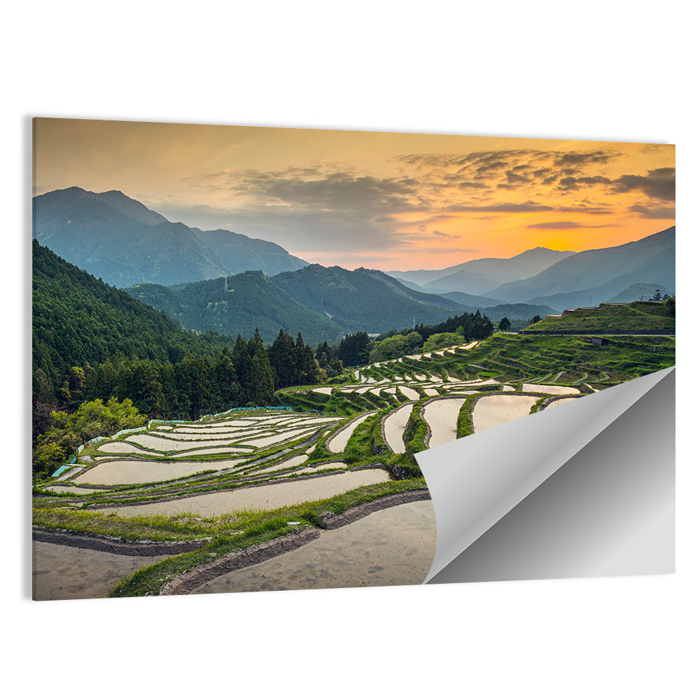 Japanese Rice Terraces Sunset Wall Art