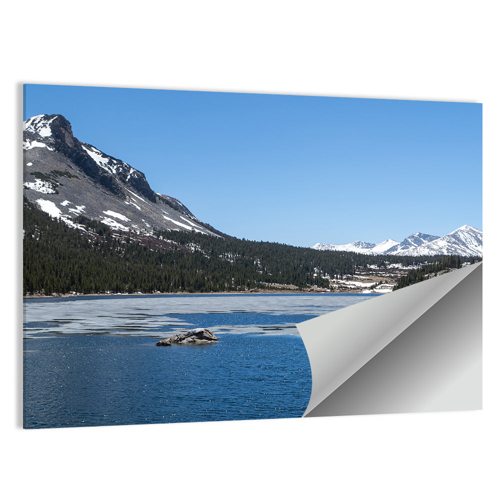 Yosemite Frozen Lake Scene Wall Art