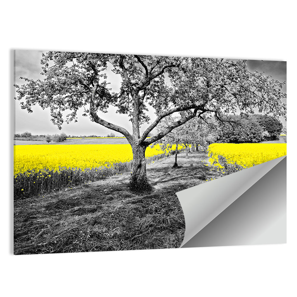 Yellow Oilseed Field with Lone Tree Wall Art