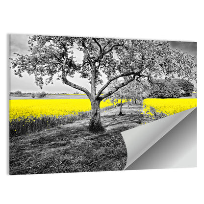 Yellow Oilseed Field with Lone Tree Wall Art