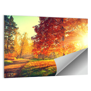 Scenic Autumn Wall Art