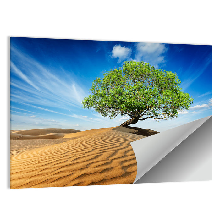 Solitary Green Tree on Sand Dune Wall Art as a poster print