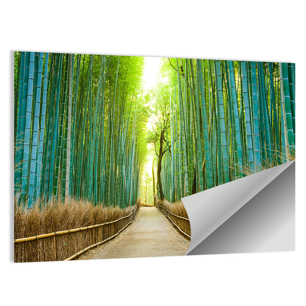 Arashiyama Bamboo Path, Kyoto Wall Art