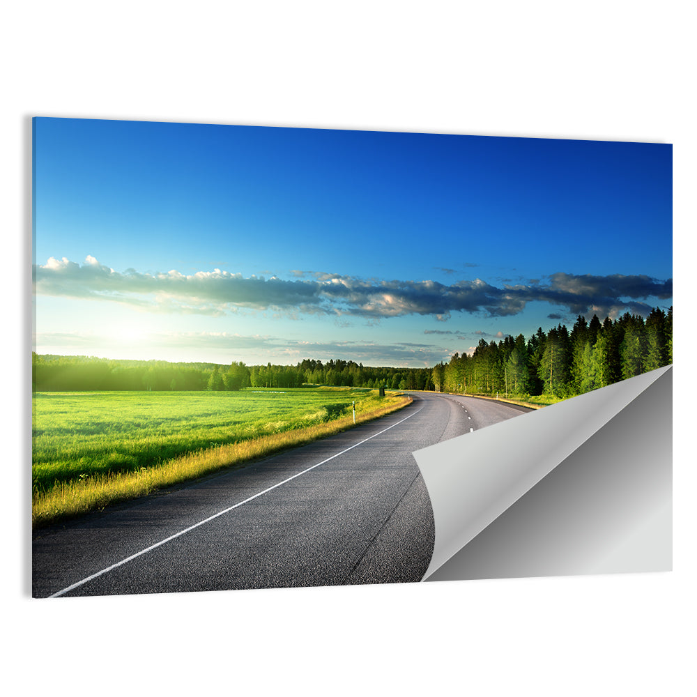 Curved Asphalt Road Through Forest Wall Art