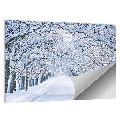 Snowy Morning Alley Wall Art