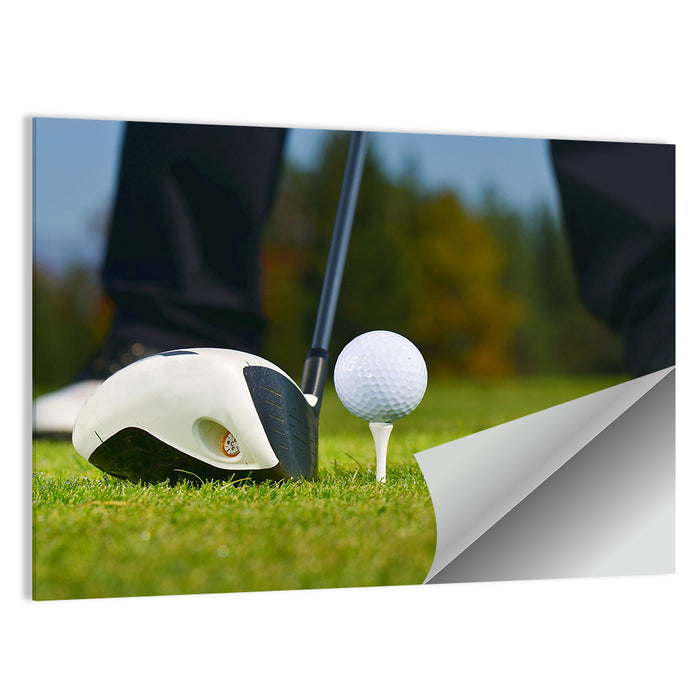 Golf Ball and Club Close Up Wall Art as a poster print