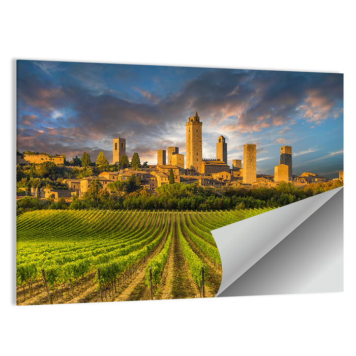 Vineyards of San Gimignano Wall Art as a poster print