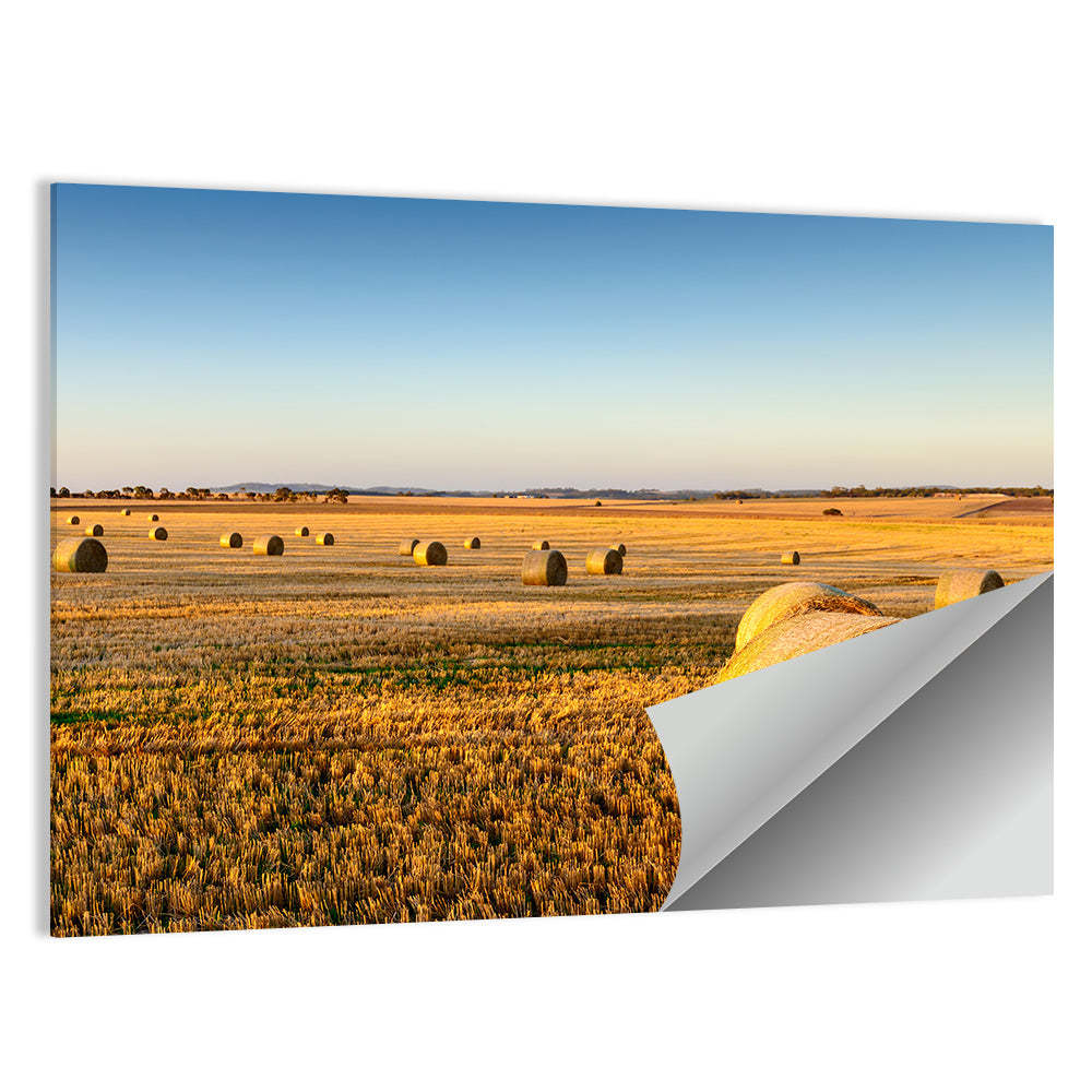 Farm Land Hay Bales Sunset Wall Art
