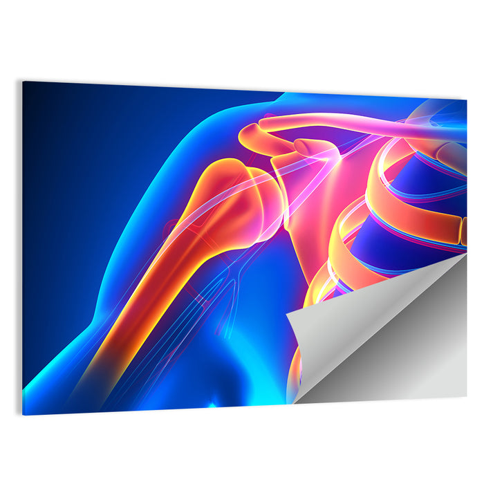Shoulder Pain Anatomy Study Wall Art as a poster print