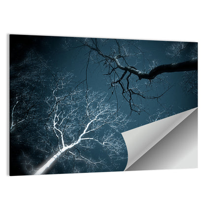 Twilight Canopy with Glowing Bark Wall Art