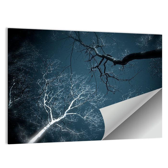 Twilight Canopy with Glowing Bark Wall Art as a poster print
