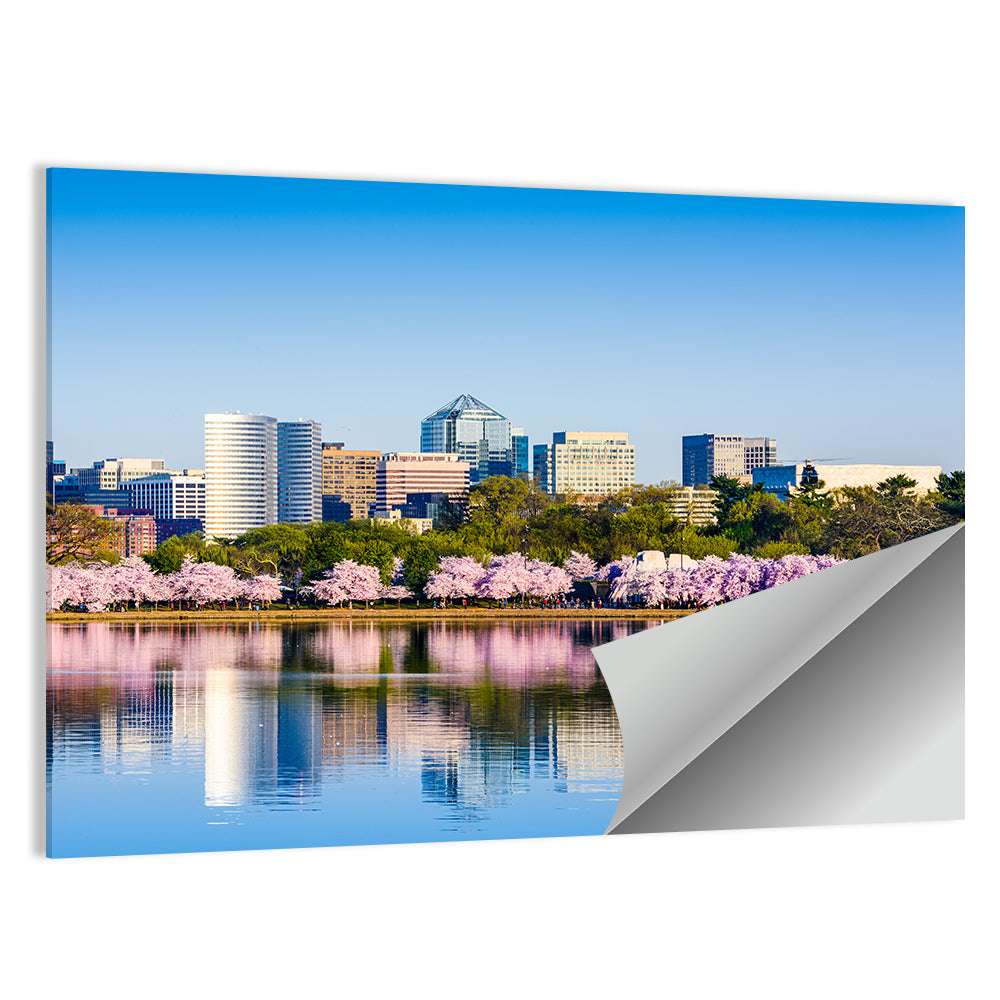 Tidal Basin Washington D.c. Cherry Blossoms Wall Art