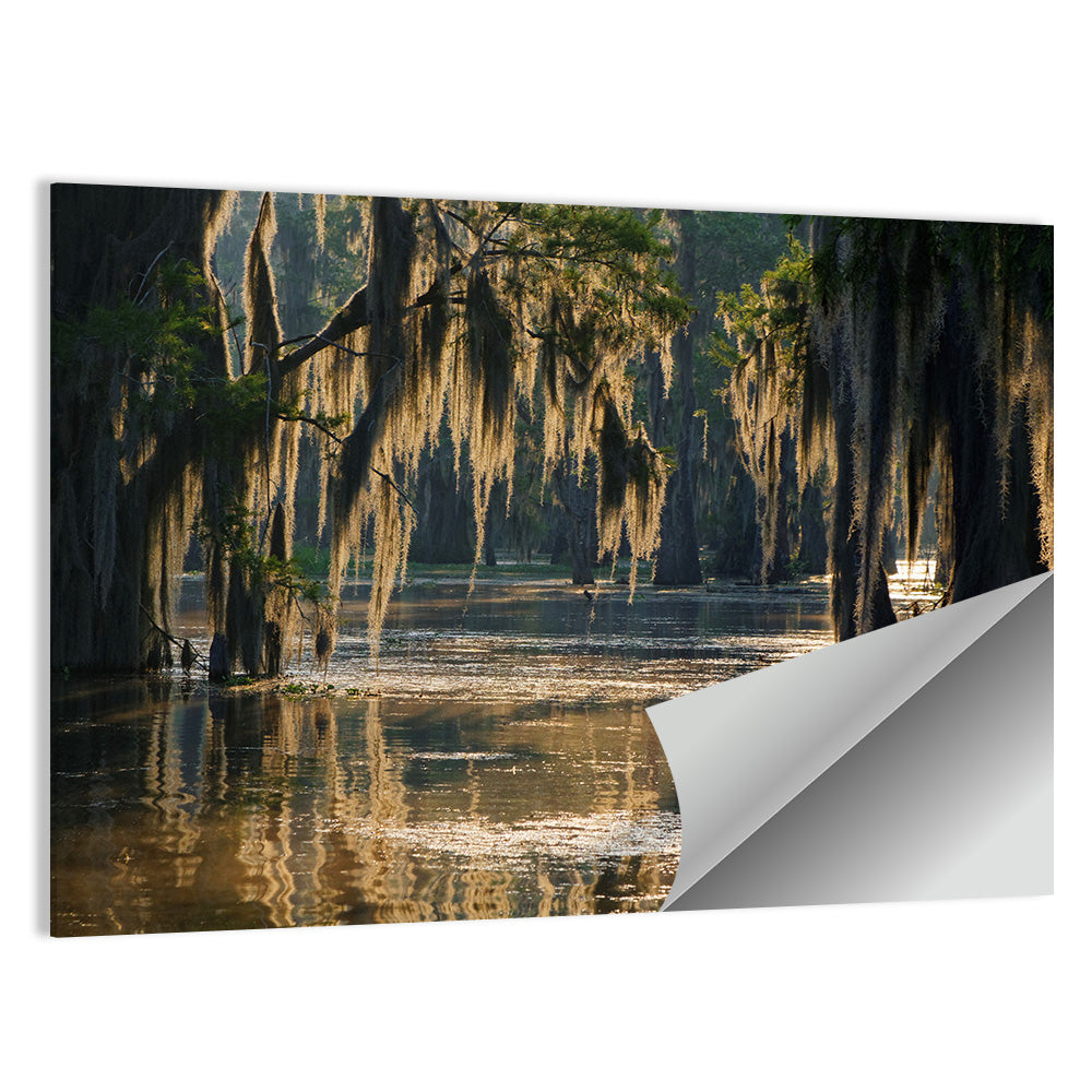 Spanish Moss In Louisiana Bayou Wall Art