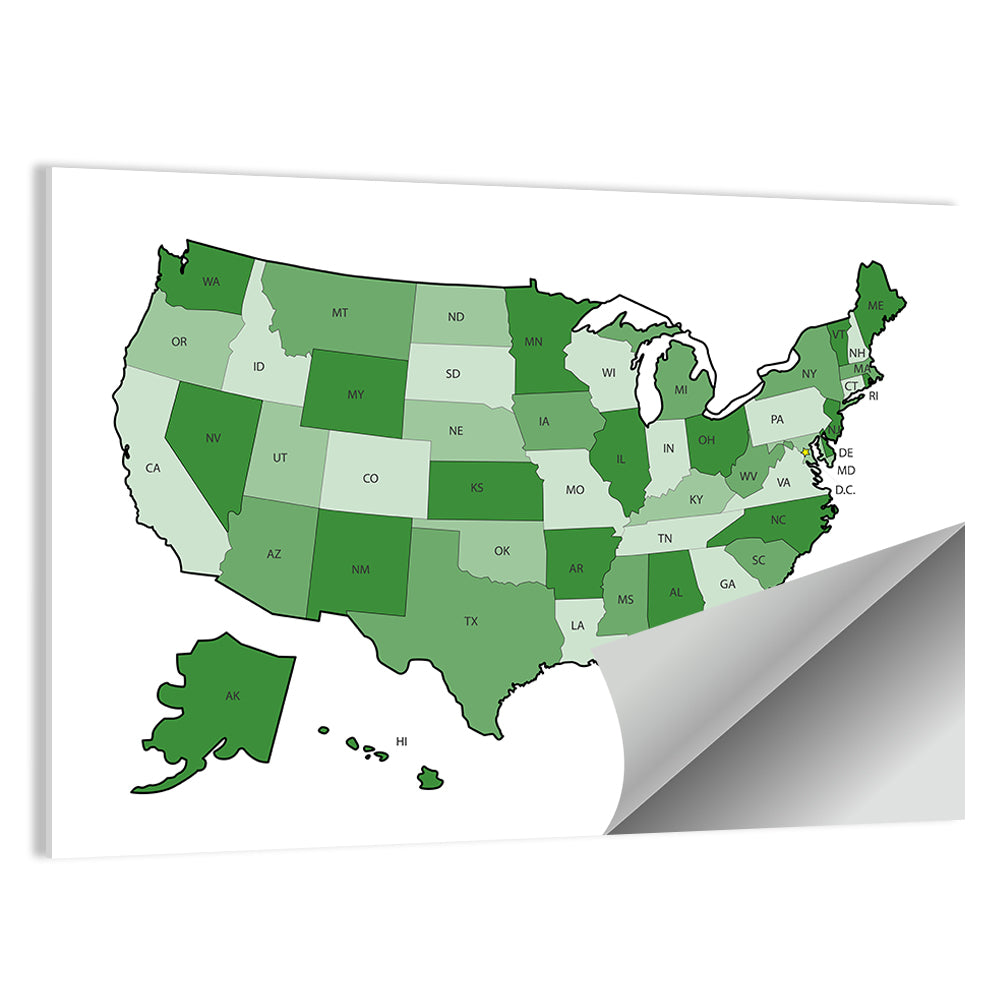 United States Political Map Wall Art