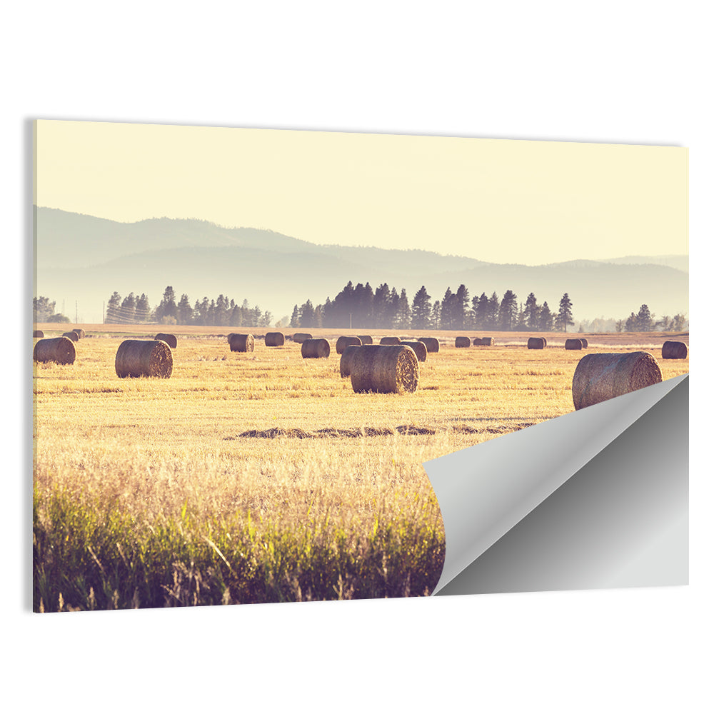 Golden Hay Bales Field Wall Art