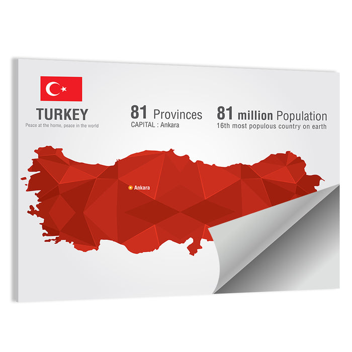 Turkey Map Infographic Wall Art as a poster print