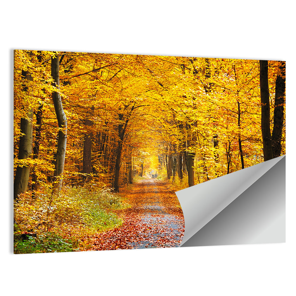 Autumn Forest Path Wall Art