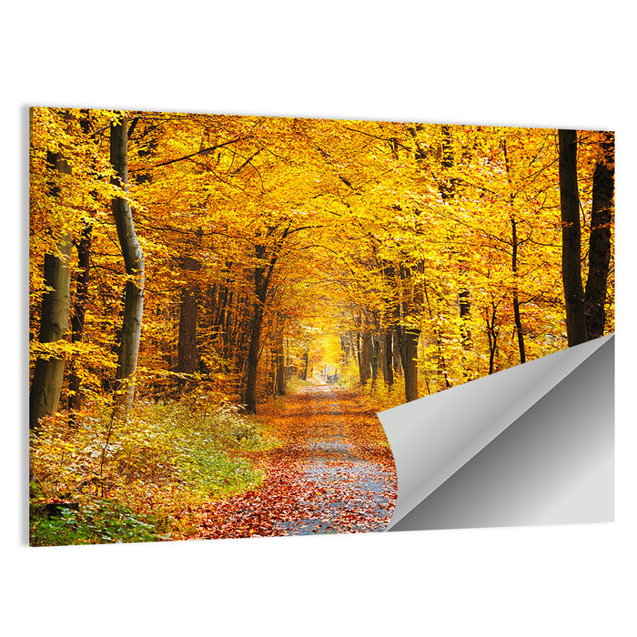 Autumn Forest Path Wall Art as a poster print