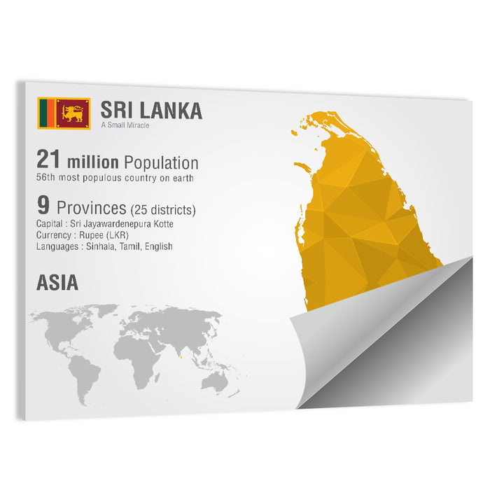 Sri Lanka Geometric Map Infographic Wall Art as a poster print
