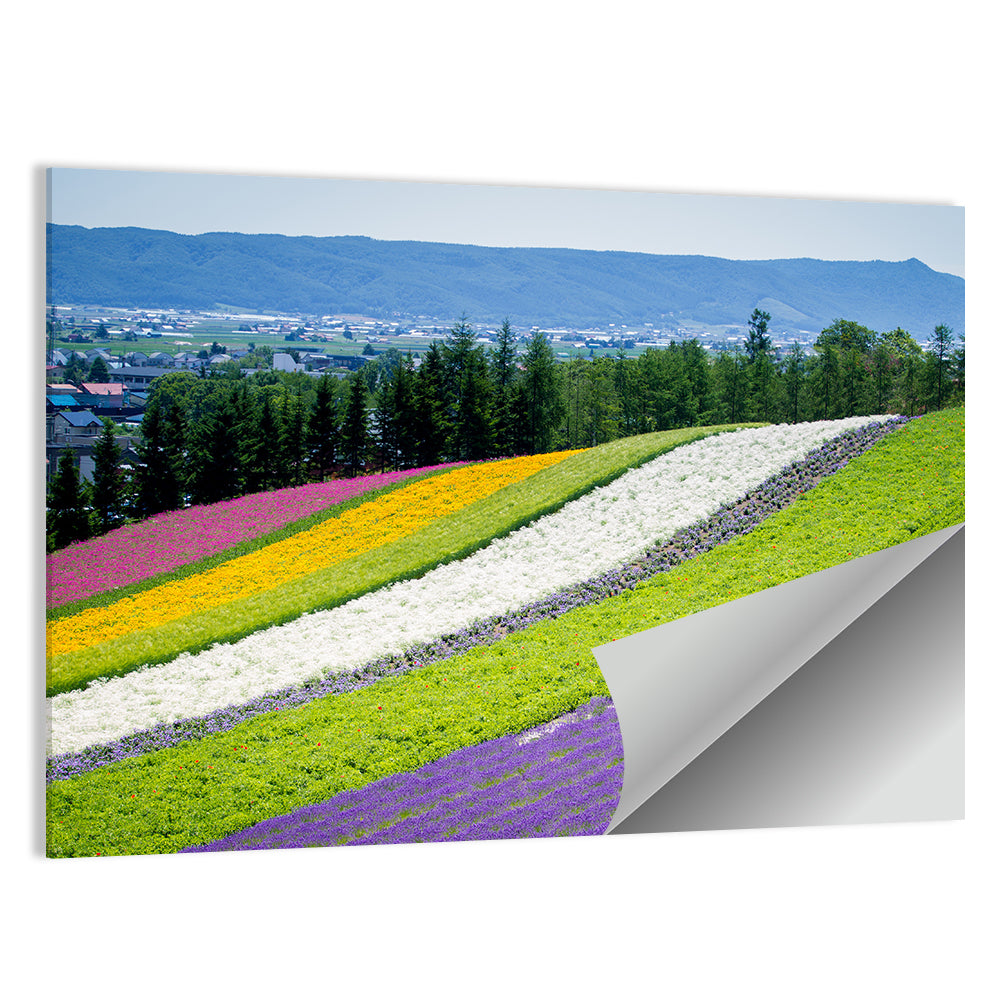Farm Tomita Lavender Fields Wall Art