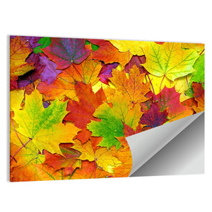 Autumn Colorful Leaves Wall Art