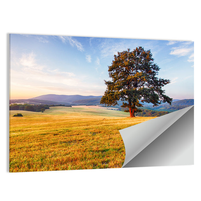 Golden Hour Meadow with Lone Tree Wall Art as a poster print