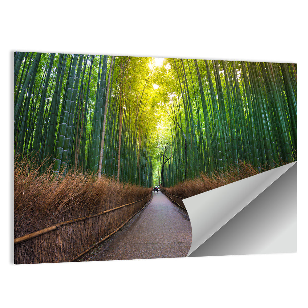 Kyoto Bamboo Forest Wall Art