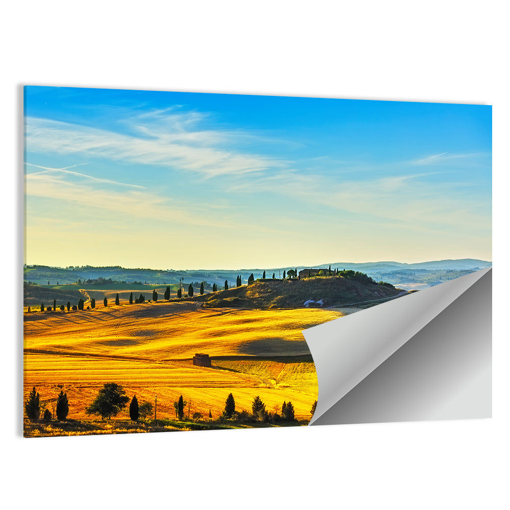 Cypress Trees Over Golden Fields Wall Art