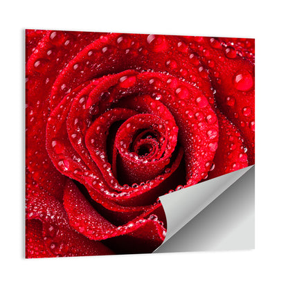 Dew-kissed Red Rose Closeup Wall Art