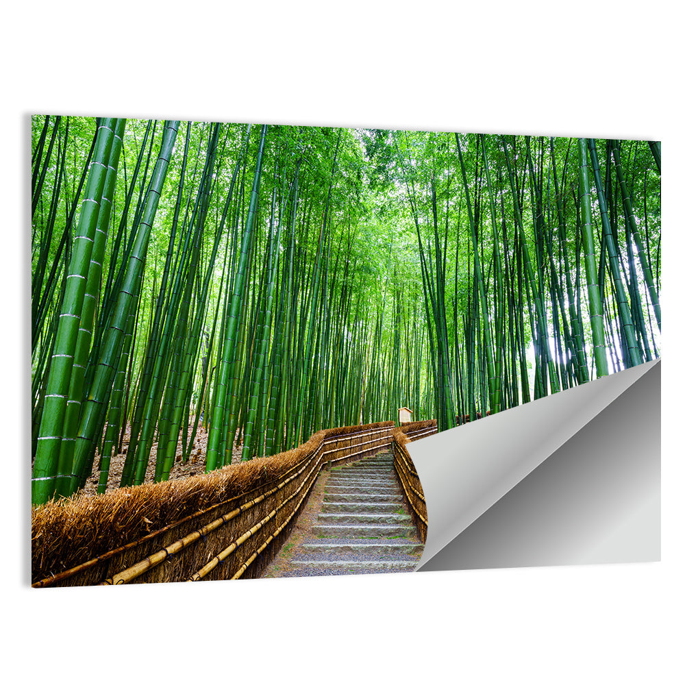Stone Steps in Kyoto Bamboo Forest Wall Art
