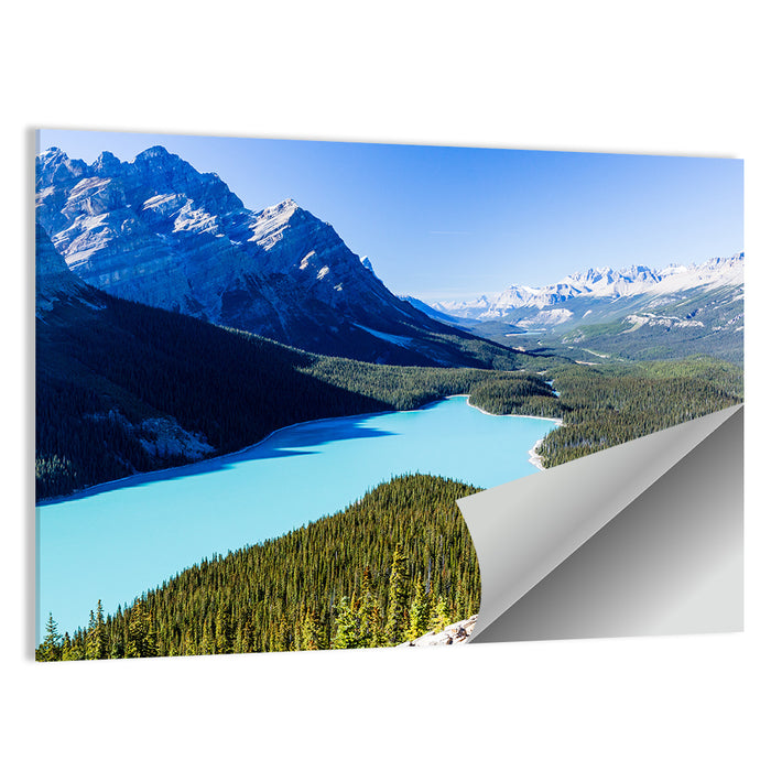 Peyto Lake Wall Art as a poster print