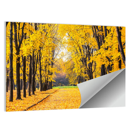 Golden Autumn Park Path Wall Art