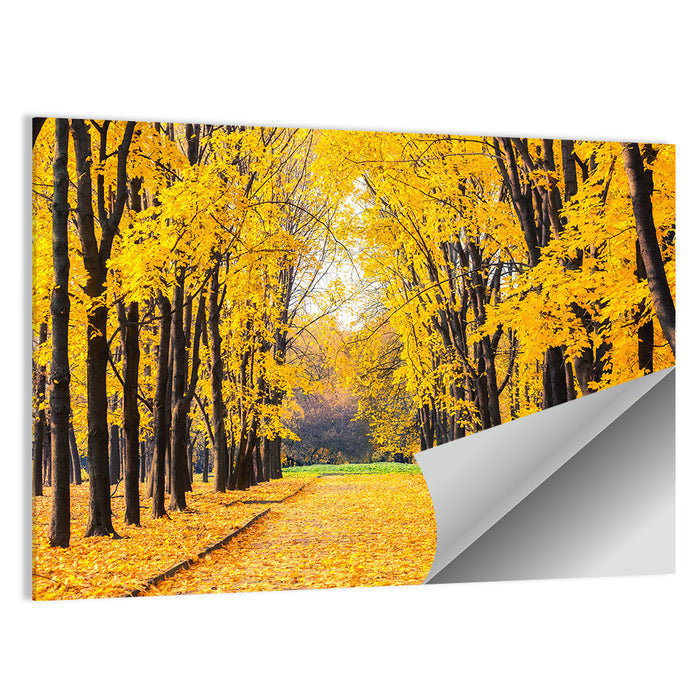 Golden Autumn Park Path Wall Art as a poster print