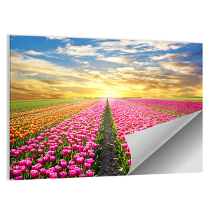 Sunrise Over Tulip Field Wall Art