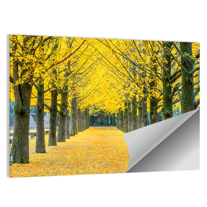 Row of Yellow Ginkgo Trees Wall Art as a poster print