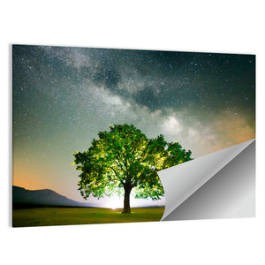 Tree Under Milky Way Galaxy Wall Art